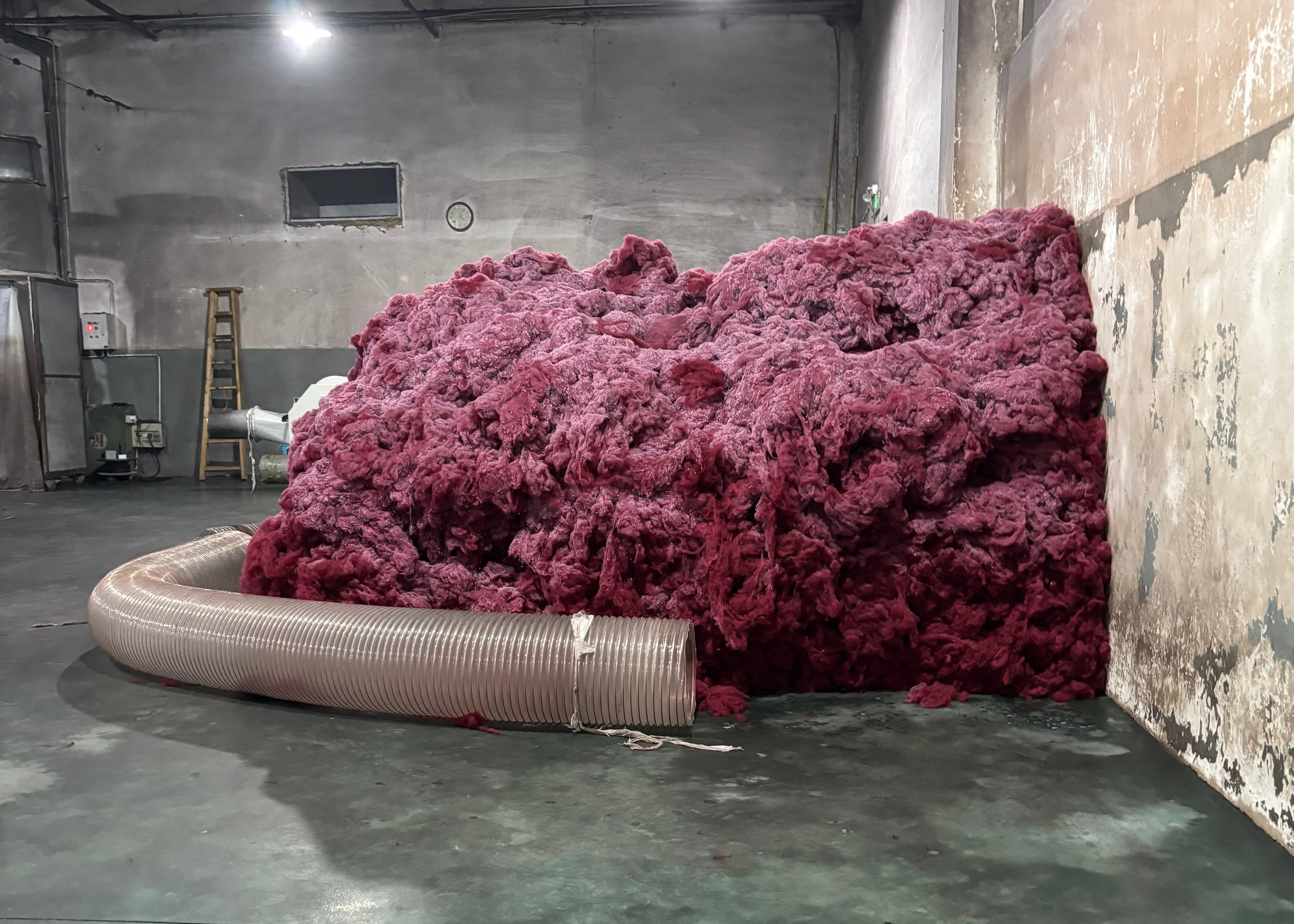 Dyed loose wool in warehouse